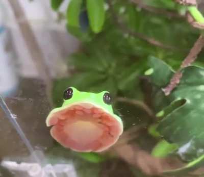 Lemme just *blob* for u