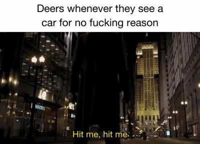 They’re all masochists