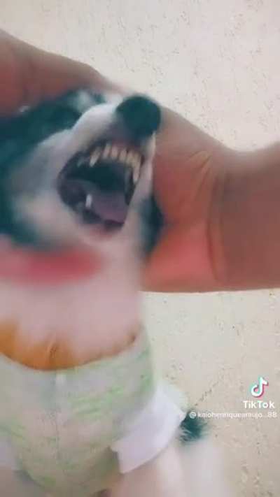 filha da puta