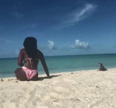 WCGW stretching on the beach.