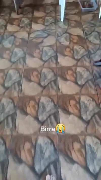....F