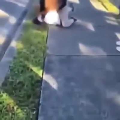 2 girls fighting