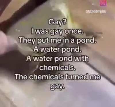 Frogs indeed