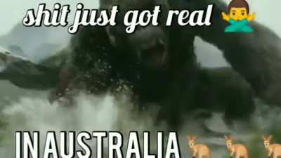 aussie moment