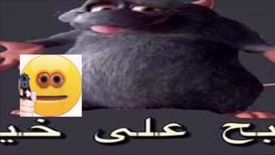 eat rat
