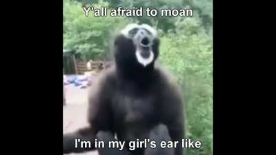 Don't be afraid