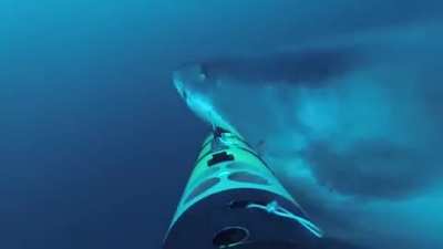 Underwater camera