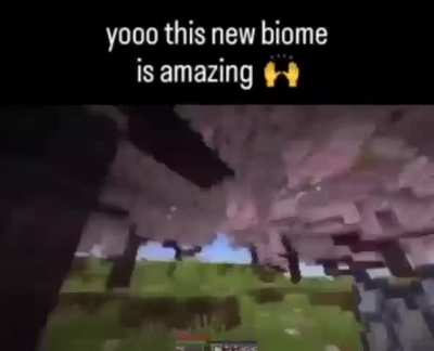 I'm 15 and this is yeet