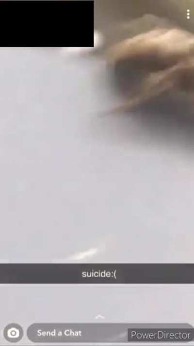 bee brutally kills himself