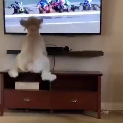 Very involved audience