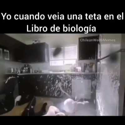WN siempre pasa