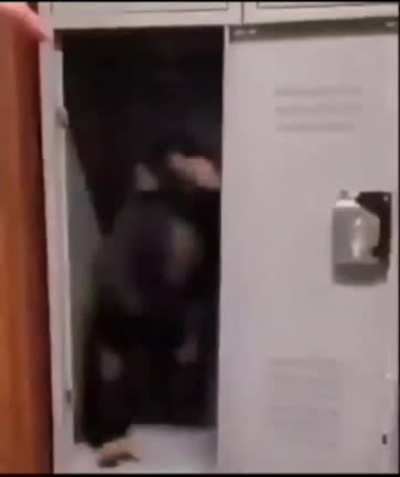 Monkey mad