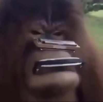 Blessed video