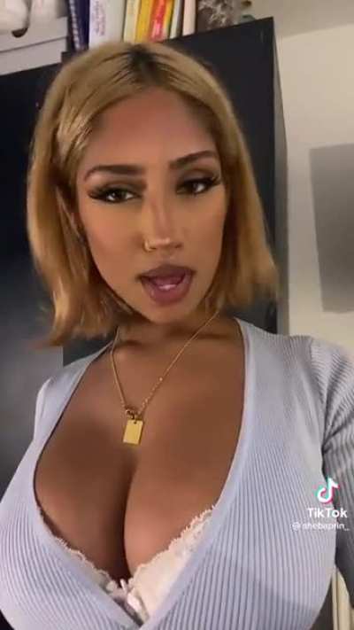 @shebaprin_