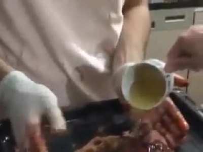 El Çiğ Köfte BASED