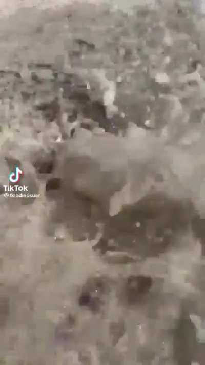 He definitely found something