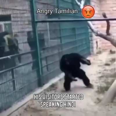 controversy calling