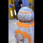 Disney Employee Ends Up in Tears over Little Girl's BB-8 Costume (With Sound)