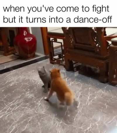 you spin me round