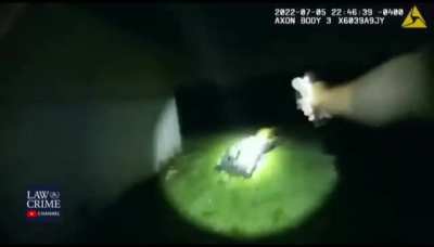 Cop attacked by dog, friendly-fire activated.