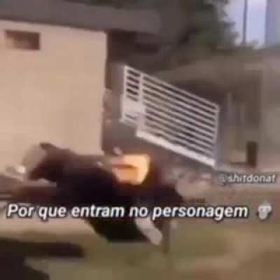 Pq os homens vivem menos?