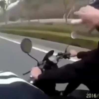 cockhead
