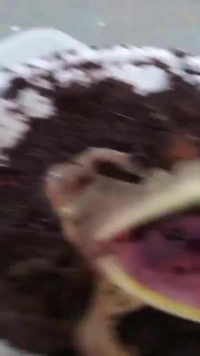 Terrifying battlecry