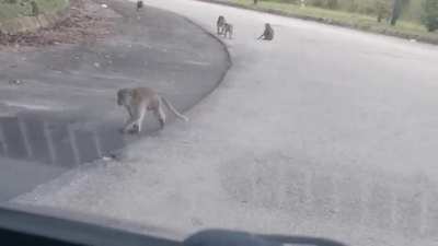 Noone told me you guys were holding a meeting after work! (This was at TPM Bukit Jalil)