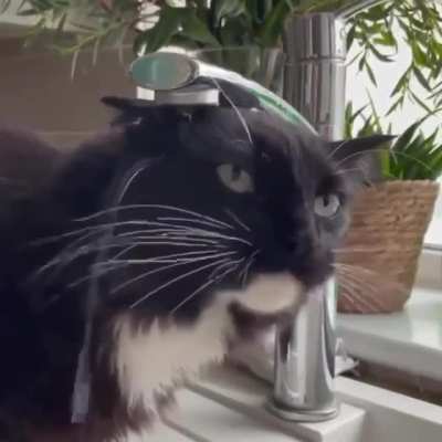 hmmm
