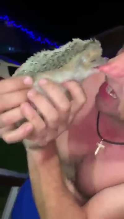 Wcgw?? Ok.. lemme put this aside !!