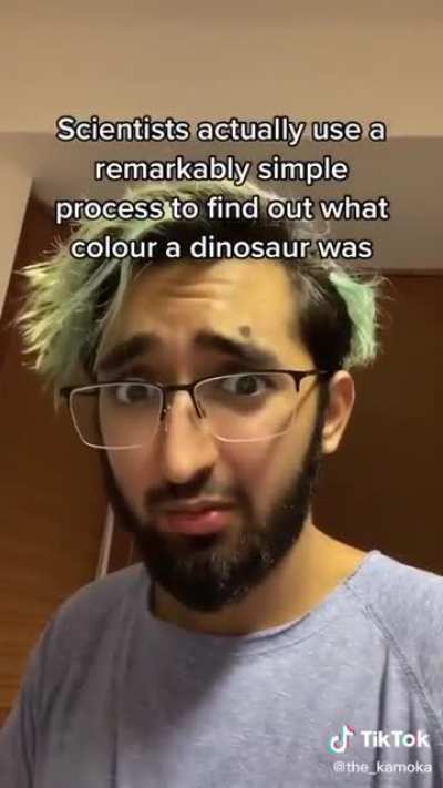 dinosaur misinformation Tiktok