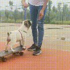 Yay, I can skate...