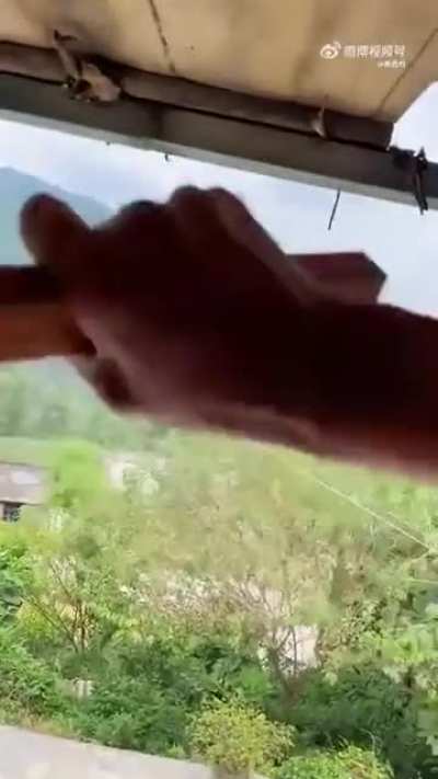 Beekeeper protecting his bees from being attacked by hornets