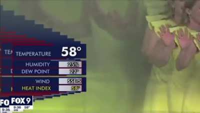 Trippy Weather News