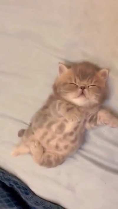 It's so smol