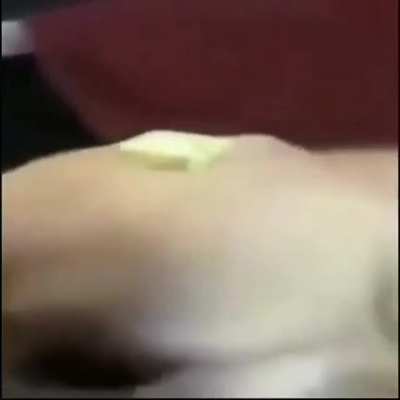 Butter dog