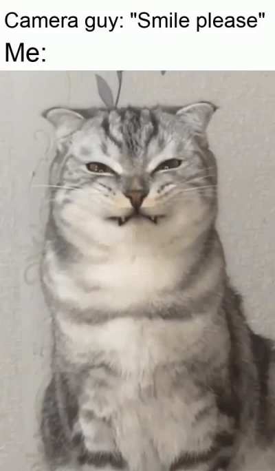 so photogenic