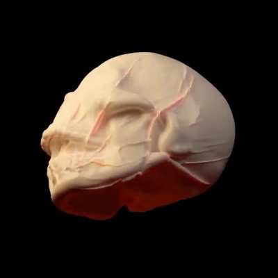 Cloth sim I made in 2.82