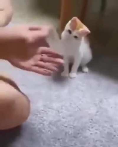 Object = Null