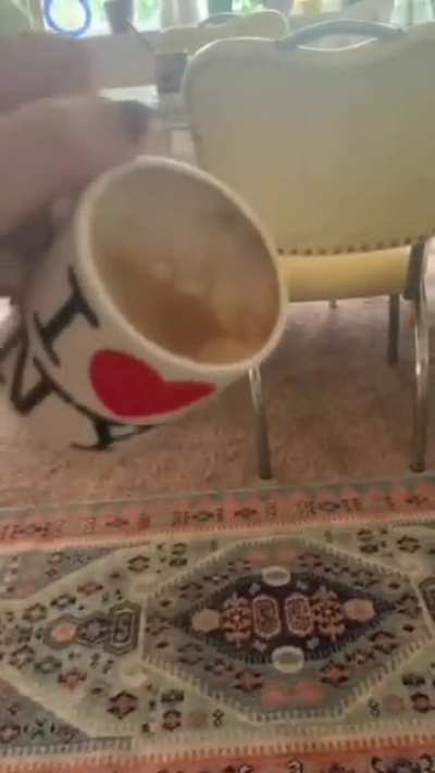 Goodbye computer