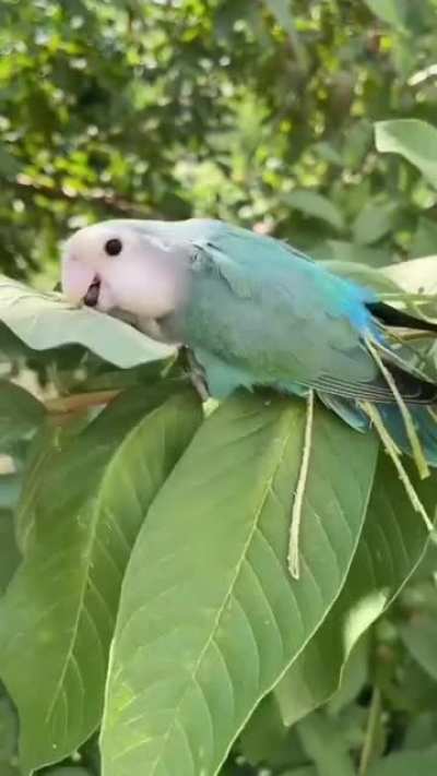 Accessorizing