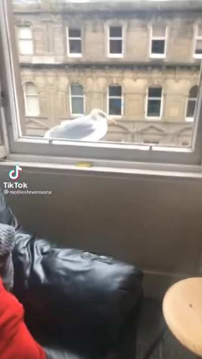 A-