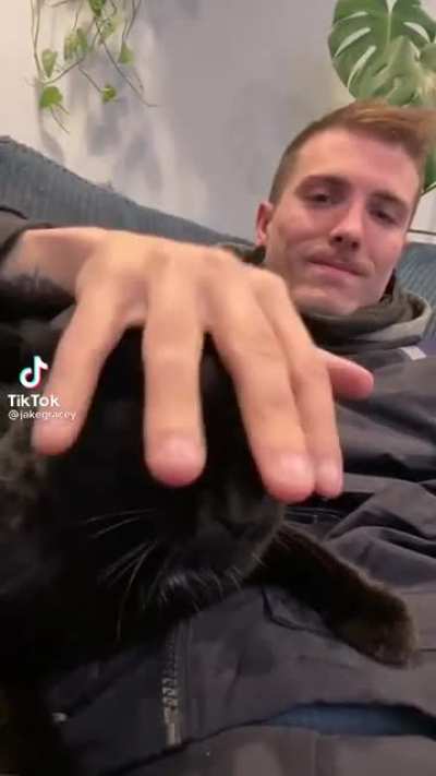 Cat trying to start on a cold morning