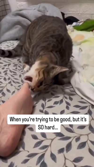 Every single time! 