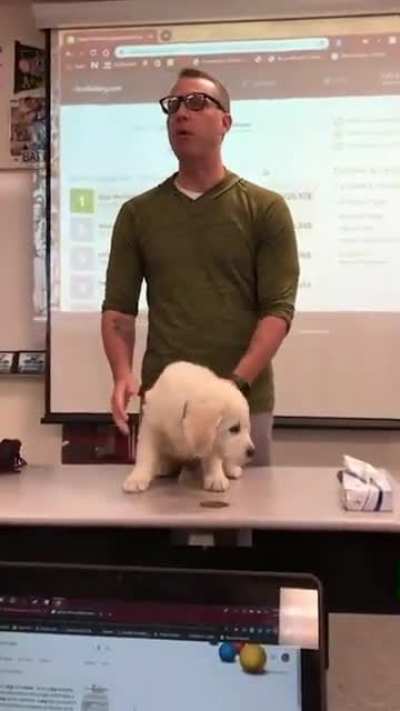 Buck The Vocab Mascot