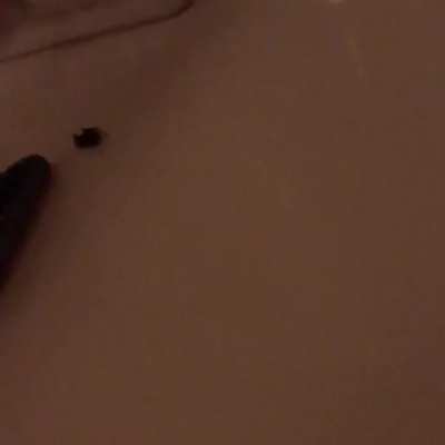 aaaaaAAAAAAAAAAA-