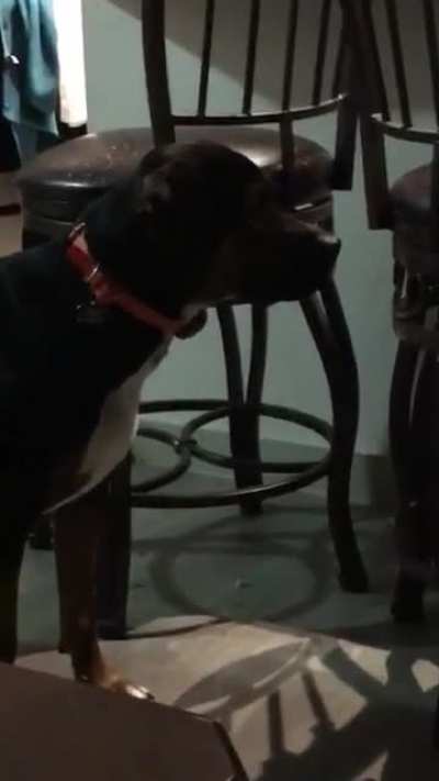 Wait for it