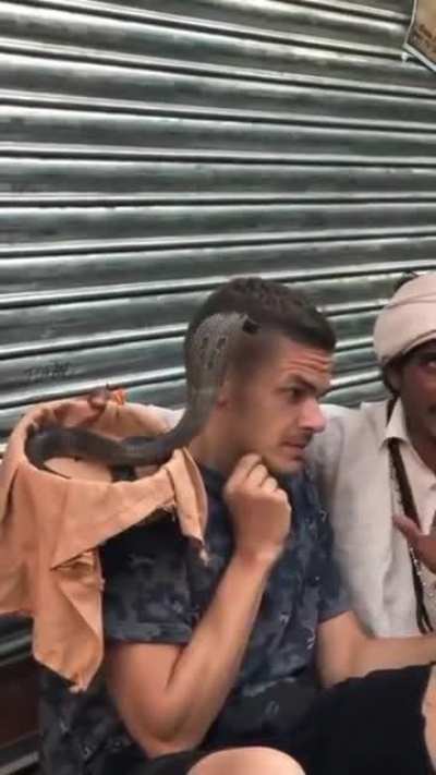 Russian tourist meets cobra