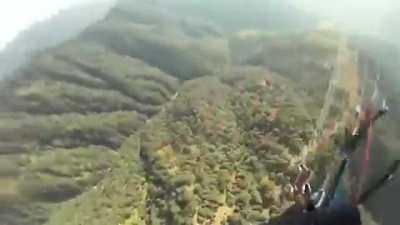 Vulture vs paraglider