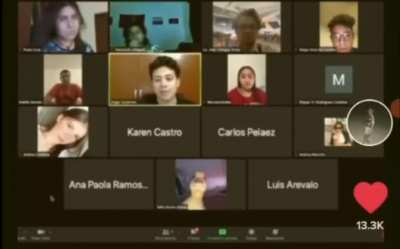 Las clases en línea llegan a ser muy surrealistas